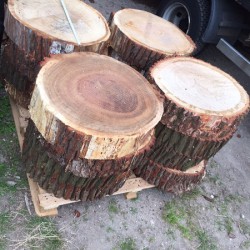 Neu eingetroffen: runde Baumscheiben-Tischplatten mit großem Durchmesser
