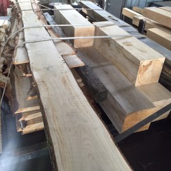 Neue Lieferung eingetroffen: feinstes Eichenholz für Tischplatten und Blöcke!