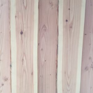 IMG_7115