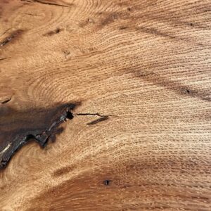 Wurmeiche, Eiche wurmstichig