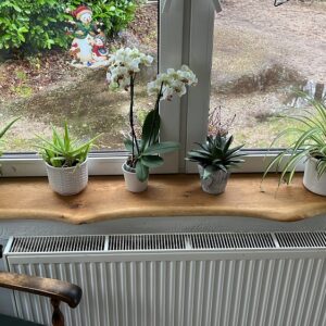 fensterbank klein